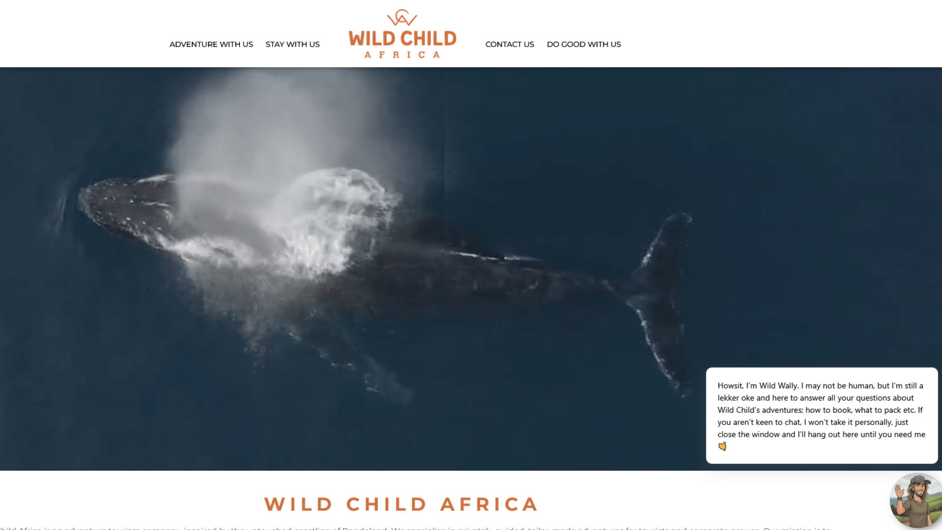 Wild Child Africa adventure tourism website project image